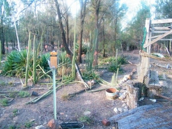 48 North Kogan Road, KOGAN QLD 4406, Kogan - Thumbnail 6