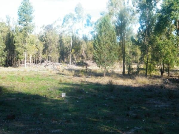 48 North Kogan Road, KOGAN QLD 4406, Kogan - Thumbnail 7