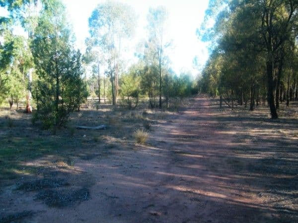 48 North Kogan Road, KOGAN QLD 4406, Kogan - Thumbnail 8