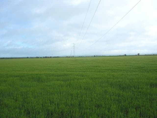 BRINKWORTH SA 5464, Brinkworth - Thumbnail 2