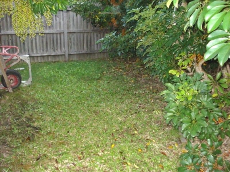 9 Theatre Street, OXENFORD QLD 4210, Oxenford - Thumbnail 7