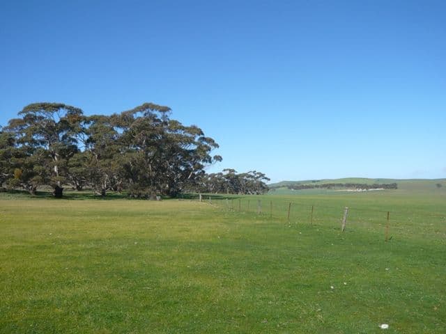 JAMESTOWN SA 5491, Jamestown - Thumbnail 5