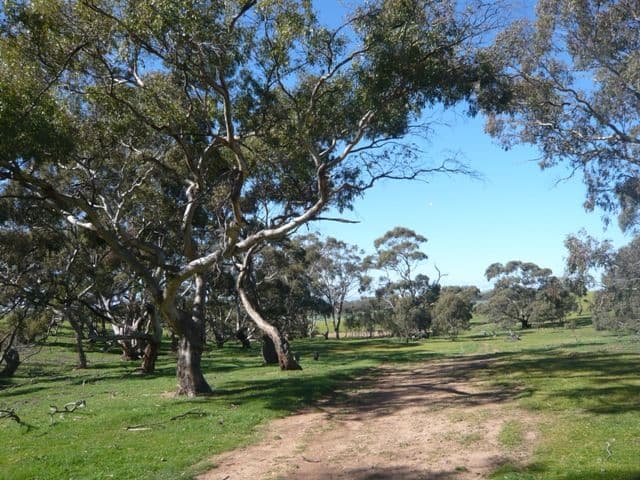 JAMESTOWN SA 5491, Jamestown - Thumbnail 7