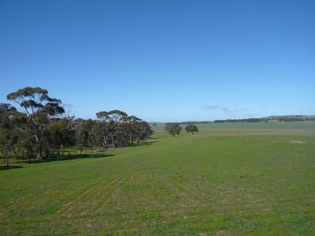 JAMESTOWN SA 5491, Jamestown - Thumbnail 8