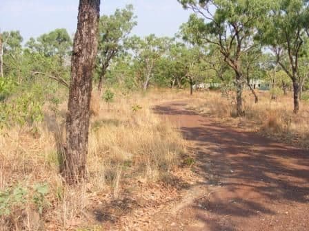 172 Edith Farms Road, KATHERINE NT 0850, Katherine - Thumbnail 5