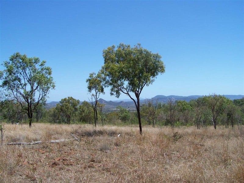 237 Arthur Street, WESTWOOD QLD 4702, Westwood - Thumbnail 4