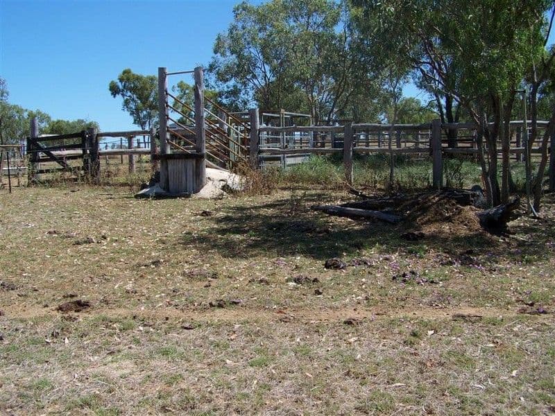 237 Arthur Street, WESTWOOD QLD 4702, Westwood - Thumbnail 3