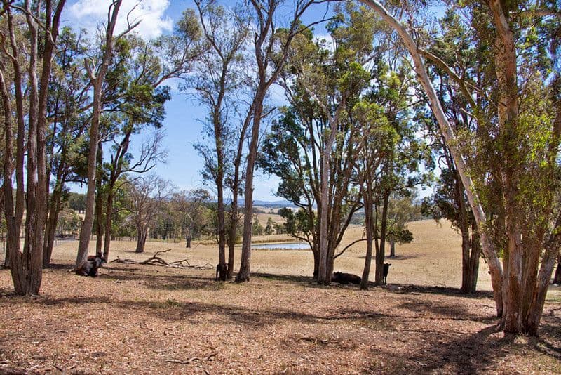 Lot 22, 591 Cox's River Road, LITTLE HARTLEY NSW 2790, Little Hartley - Thumbnail 2