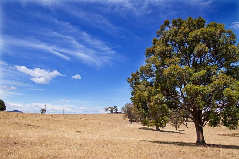 Lot 22, 591 Cox's River Road, LITTLE HARTLEY NSW 2790, Little Hartley - Thumbnail 3