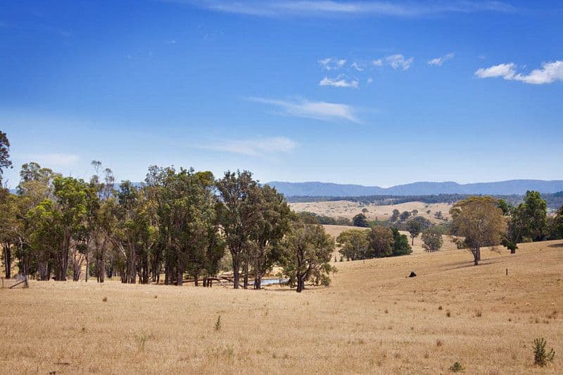 Lot 22, 591 Cox's River Road, LITTLE HARTLEY NSW 2790, Little Hartley - Thumbnail 4
