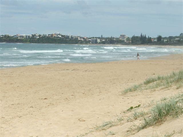 7 Ivy Street, DICKY BEACH QLD 4551, Dicky Beach - Thumbnail 2