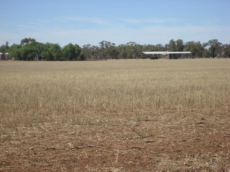 1700 Diggora Road, DIGGORA WEST VIC 3561, Diggora - Thumbnail 3