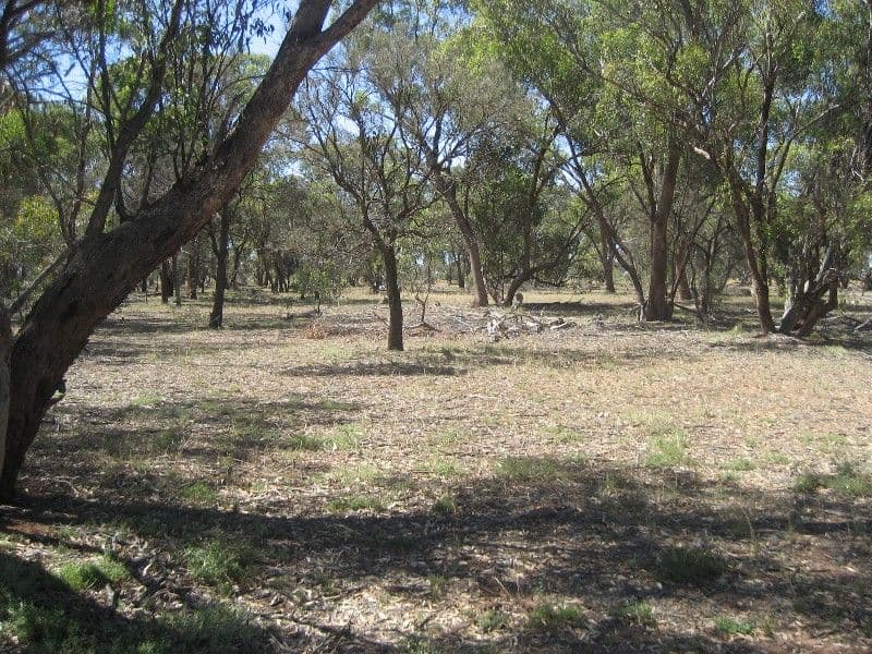 1700 Diggora Road, DIGGORA WEST VIC 3561, Diggora - Thumbnail 4