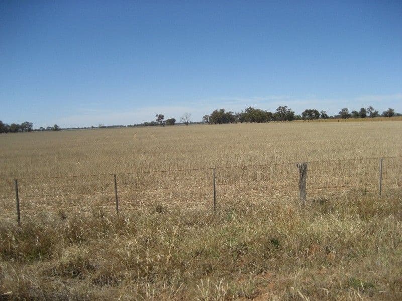 1700 Diggora Road, DIGGORA WEST VIC 3561, Diggora - Thumbnail 5