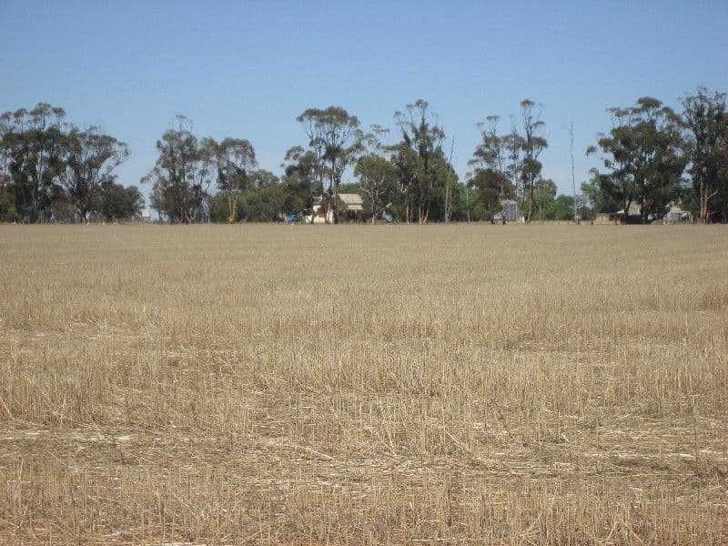 1700 Diggora Road, DIGGORA WEST VIC 3561, Diggora - Thumbnail 6