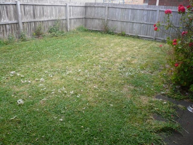 12/15 Corvus Place, Rockingham, WA, 6168, Rockingham - Thumbnail 8