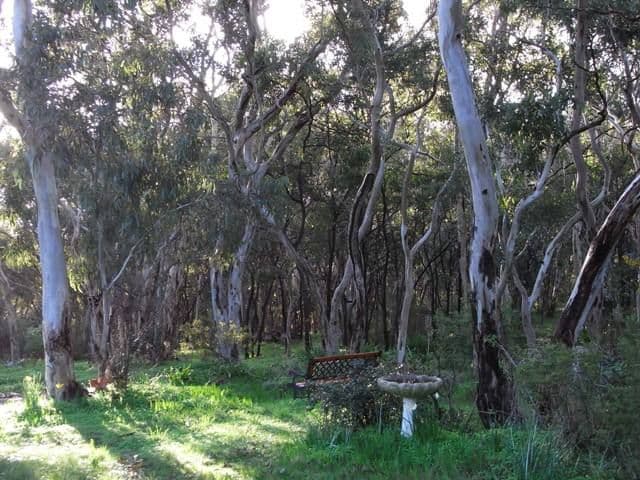Lot 10 Willcox Road, BUGLE RANGES SA 5251, Bugle Ranges - Thumbnail 5