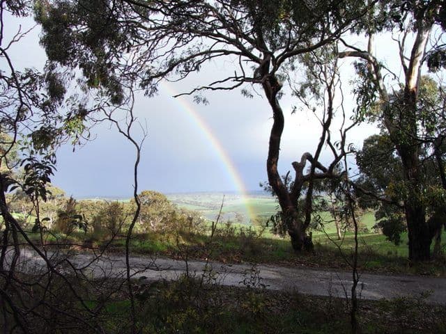 Lot 10 Willcox Road, BUGLE RANGES SA 5251, Bugle Ranges - Thumbnail 6