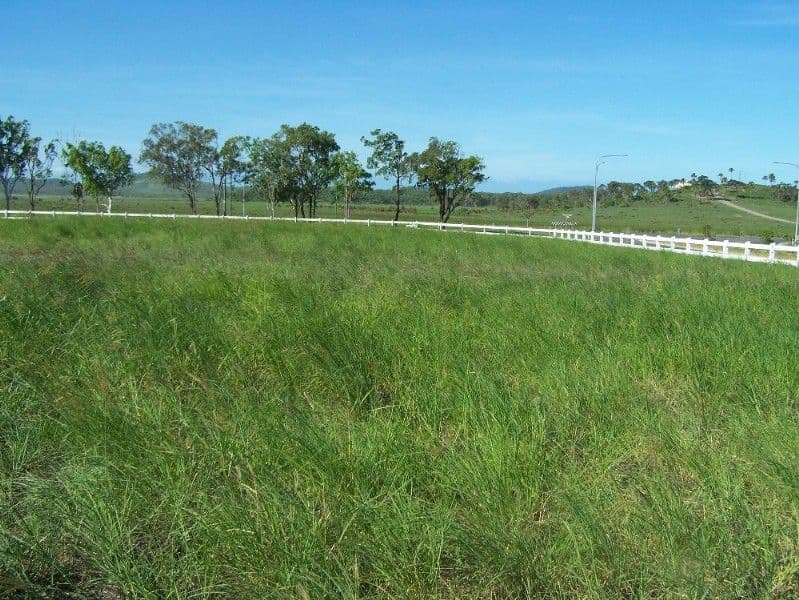 2 Hitching Rail Drive, YEPPOON QLD 4703, Yeppoon - Thumbnail 4