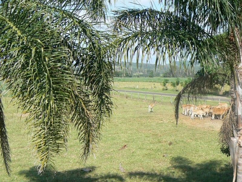 51/6 George Street, Deception Bay, QLD, 4508, Deception Bay - Thumbnail 8