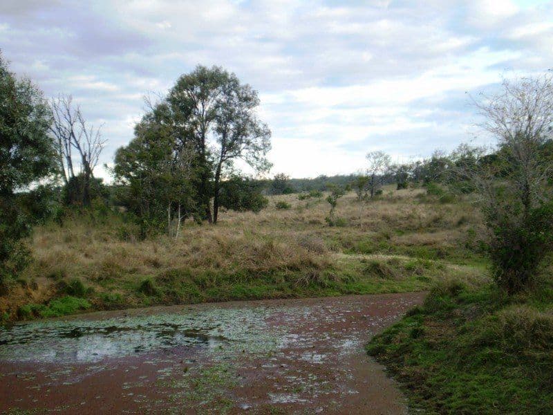 0 Blanche Road, GARNANT QLD 4702, Garnant - Thumbnail 4