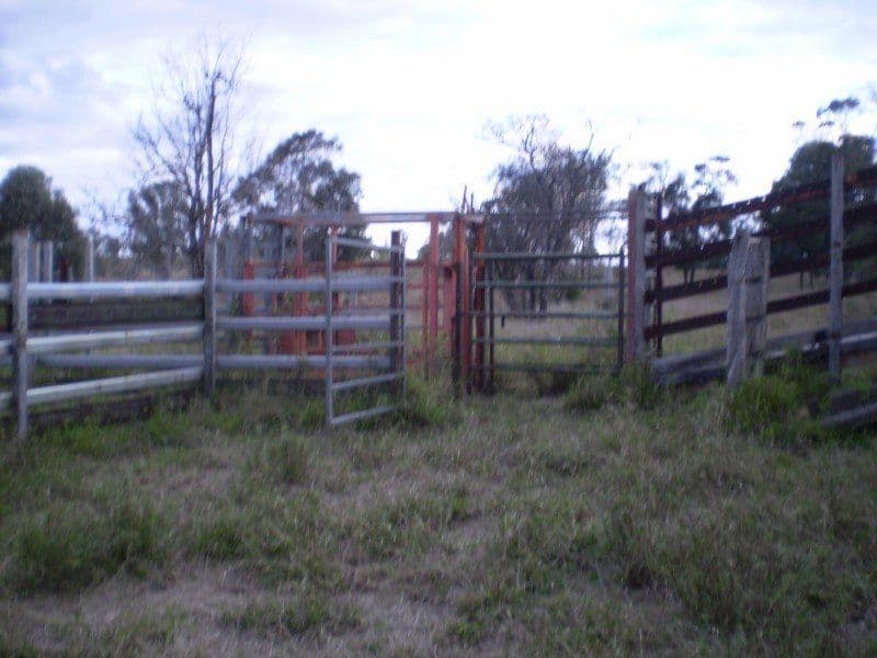 0 Blanche Road, GARNANT QLD 4702, Garnant - Thumbnail 6