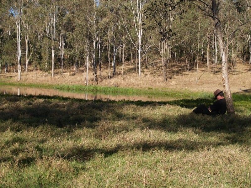 4/5 Trevethic Road, Springvale, VIC, 3171, Springvale - Thumbnail 2