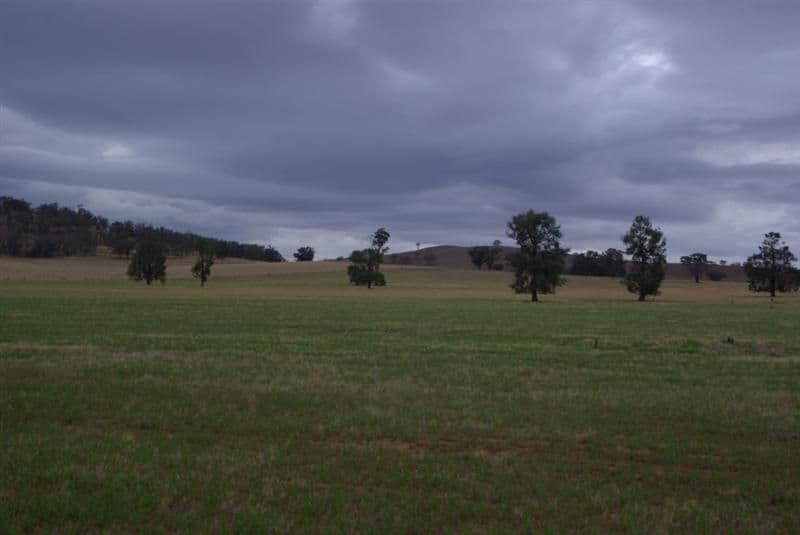 '' Salcoats", COOTAMUNDRA NSW 2590, Cootamundra - Image 1
