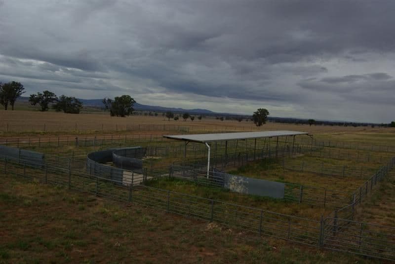 '' Salcoats", COOTAMUNDRA NSW 2590, Cootamundra - Thumbnail 3