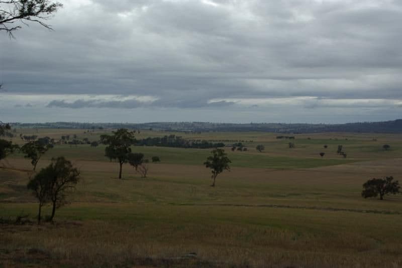 '' Salcoats", COOTAMUNDRA NSW 2590, Cootamundra - Thumbnail 5