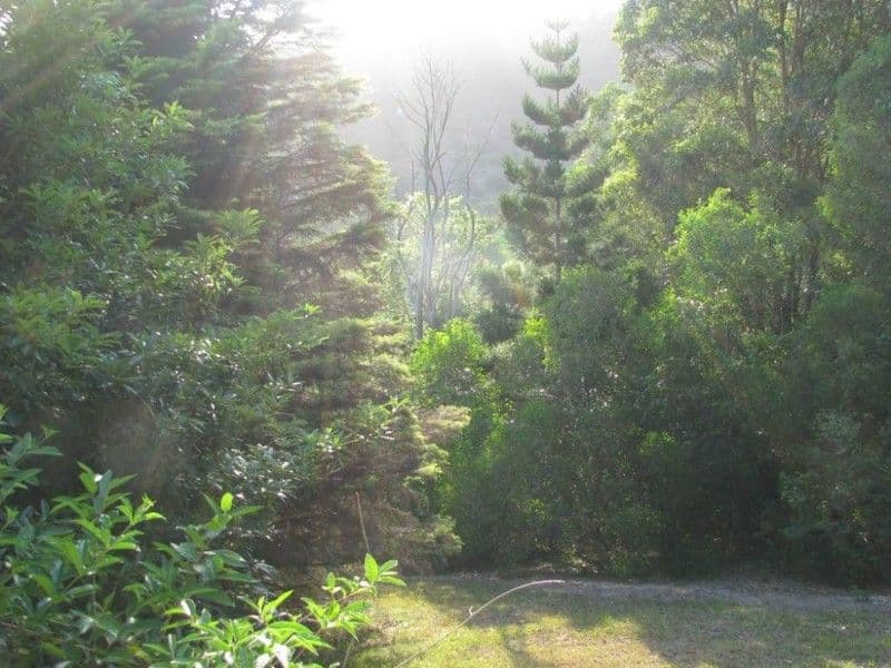 PALMVALE NSW 2484, Palmvale - Thumbnail 6