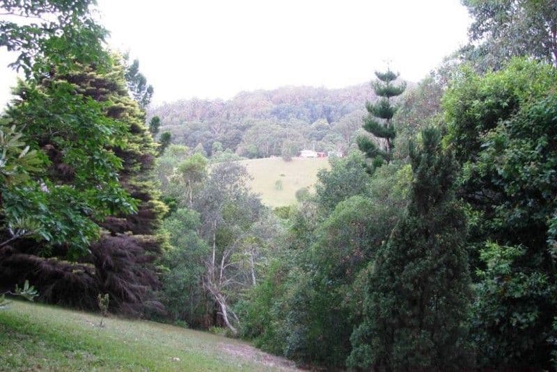 PALMVALE NSW 2484, Palmvale - Thumbnail 3
