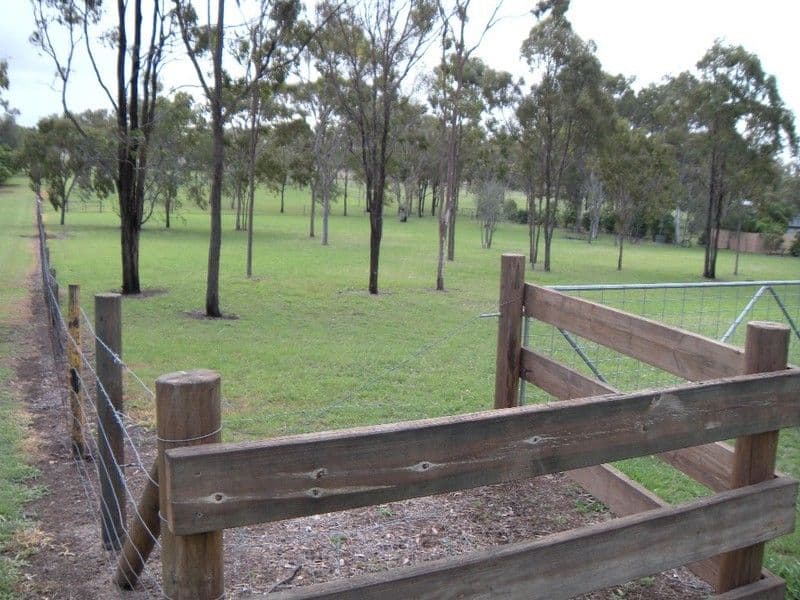 109 Bunya Road, ROCKYVIEW QLD 4701, Rockyview - Thumbnail 5