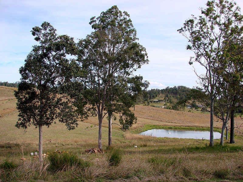 SANDY CREEK QLD 4570, Sandy Creek - Thumbnail 7
