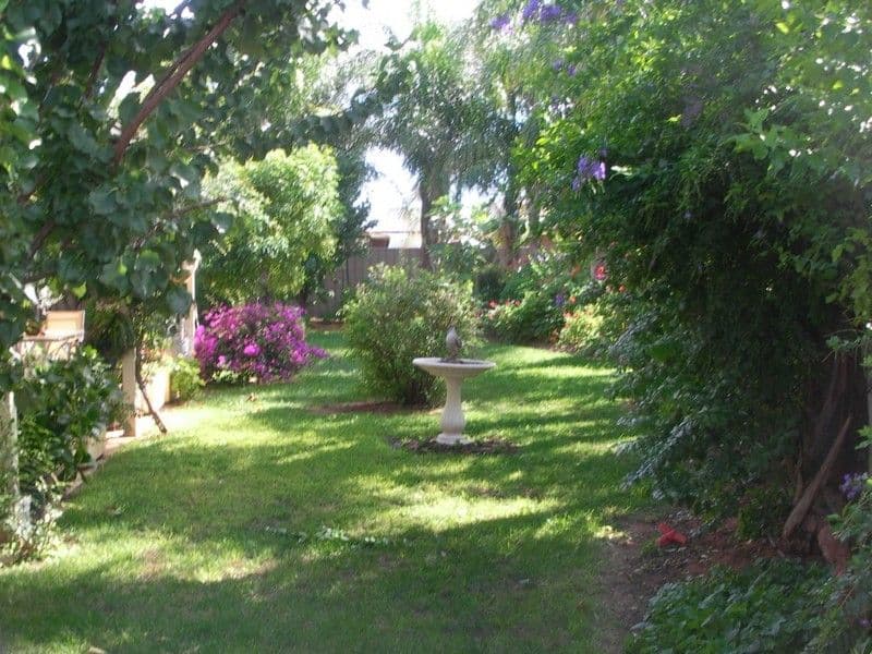 20 Alessi Rise, MILDURA VIC 3500, Mildura - Thumbnail 3