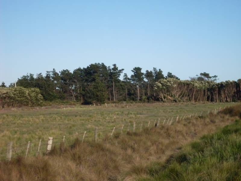120 Anne Street, GEORGE TOWN TAS 7253, George Town - Image 1