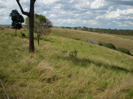 GIN GIN QLD 4671, Gin Gin - Thumbnail 8