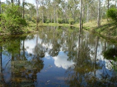 GIN GIN QLD 4671, Gin Gin - Thumbnail 3