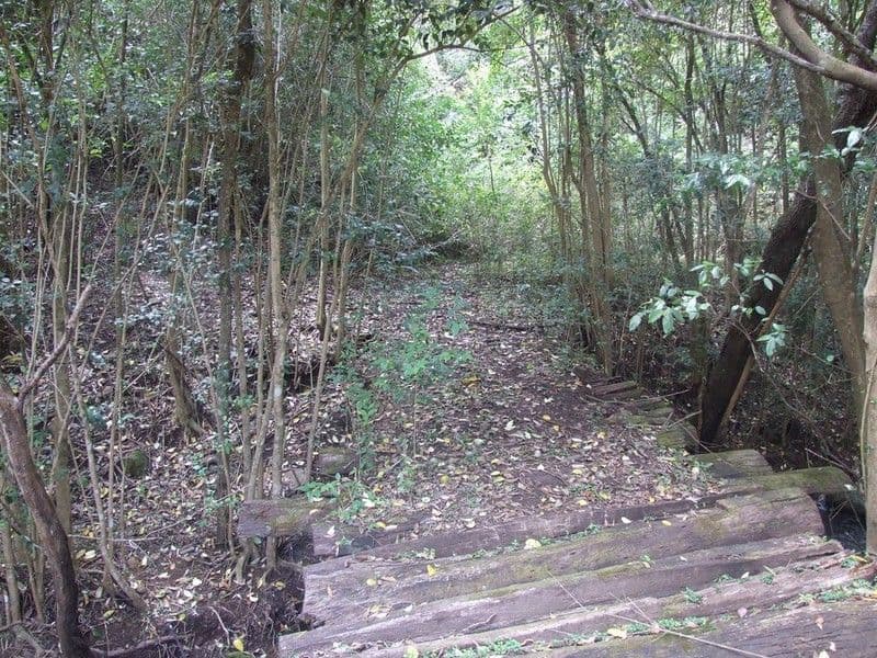 60 McErlean Road, RAVENSBOURNE QLD 4352, Ravensbourne - Thumbnail 6