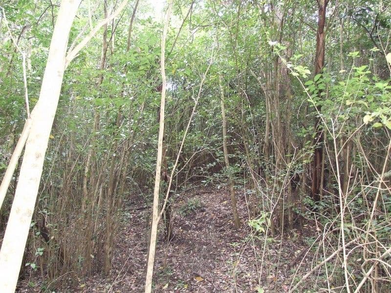 60 McErlean Road, RAVENSBOURNE QLD 4352, Ravensbourne - Thumbnail 8