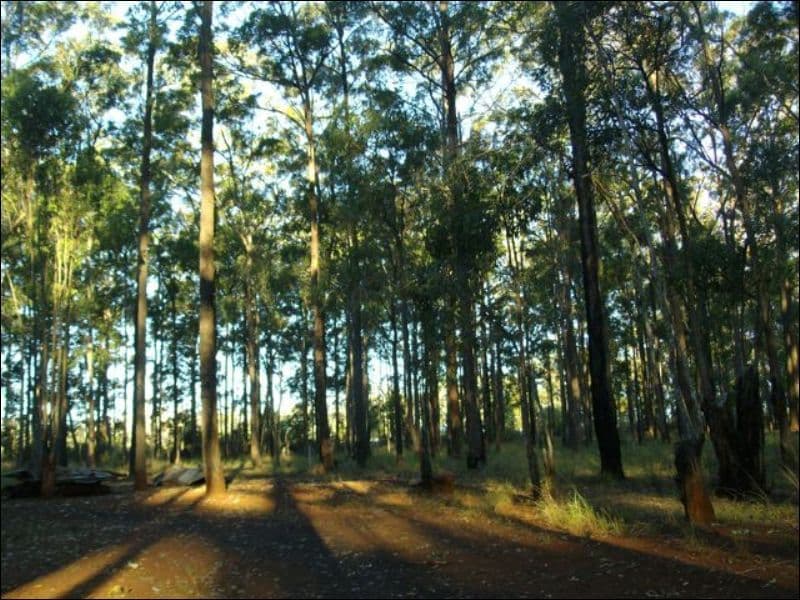 30 Brett Road, BLACKBUTT QLD 4314, Blackbutt South - Image 1
