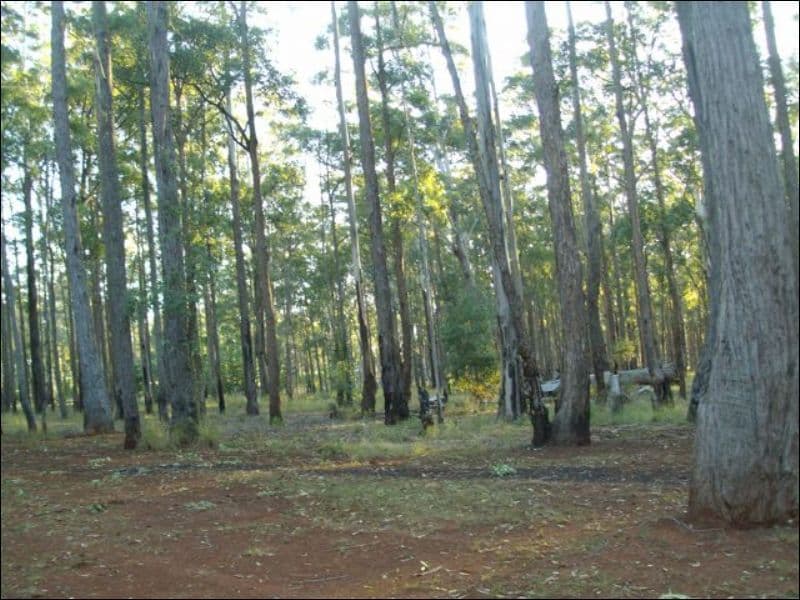30 Brett  Road, BLACKBUTT QLD 4314, Blackbutt South - Thumbnail 7