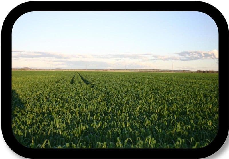 PITTSWORTH QLD 4356, Pittsworth - Thumbnail 6