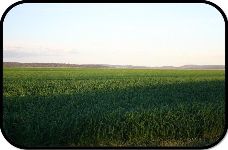 PITTSWORTH QLD 4356, Pittsworth - Thumbnail 3