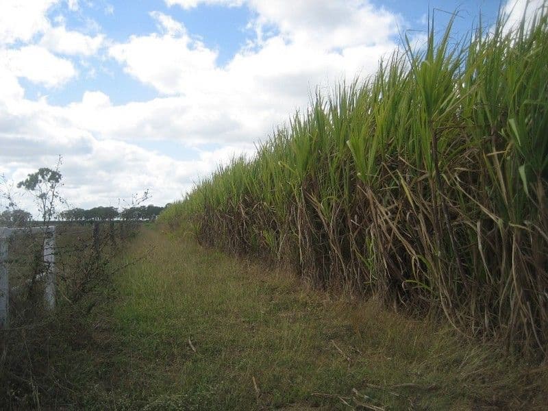 GIRU QLD 4809, Giru - Thumbnail 2