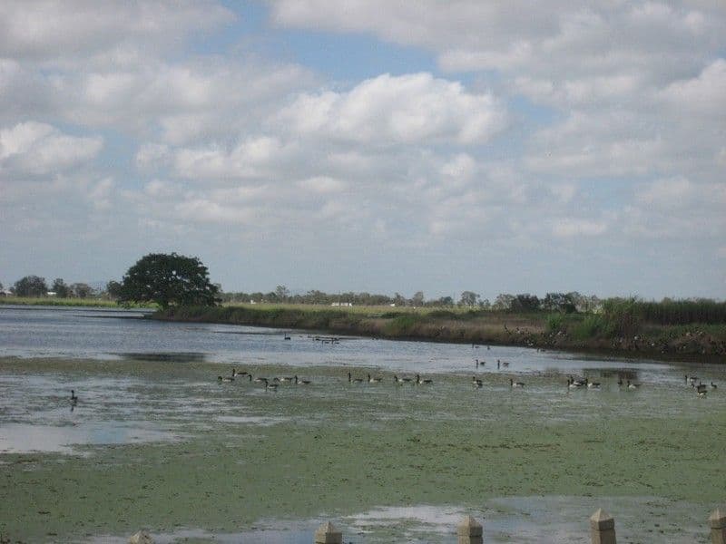 GIRU QLD 4809, Giru - Thumbnail 4