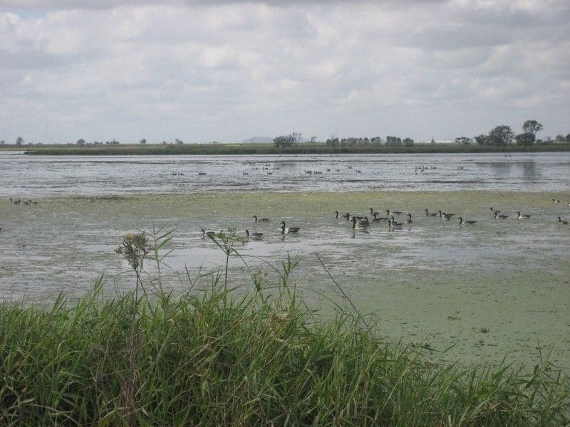GIRU QLD 4809, Giru - Thumbnail 3