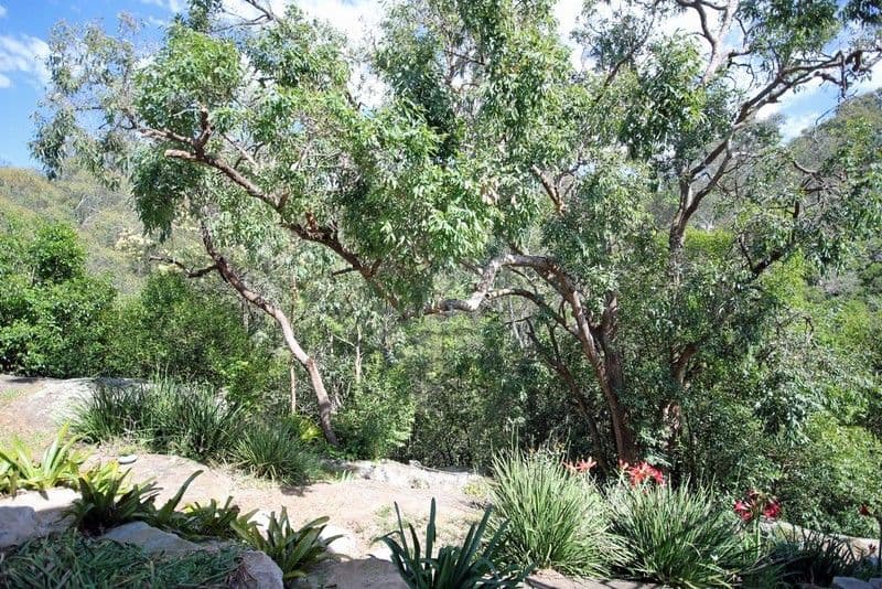 1A Campbell Street, PICTON NSW 2571, Picton - Thumbnail 6