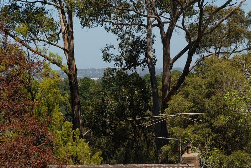 222 Forest Road, BORONIA VIC 3155, Boronia - Thumbnail 2