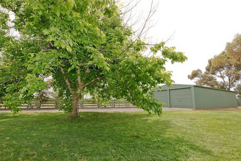 3252 San Mateo Avenue, MILDURA SOUTH VIC 3501, Mildura - Thumbnail 6